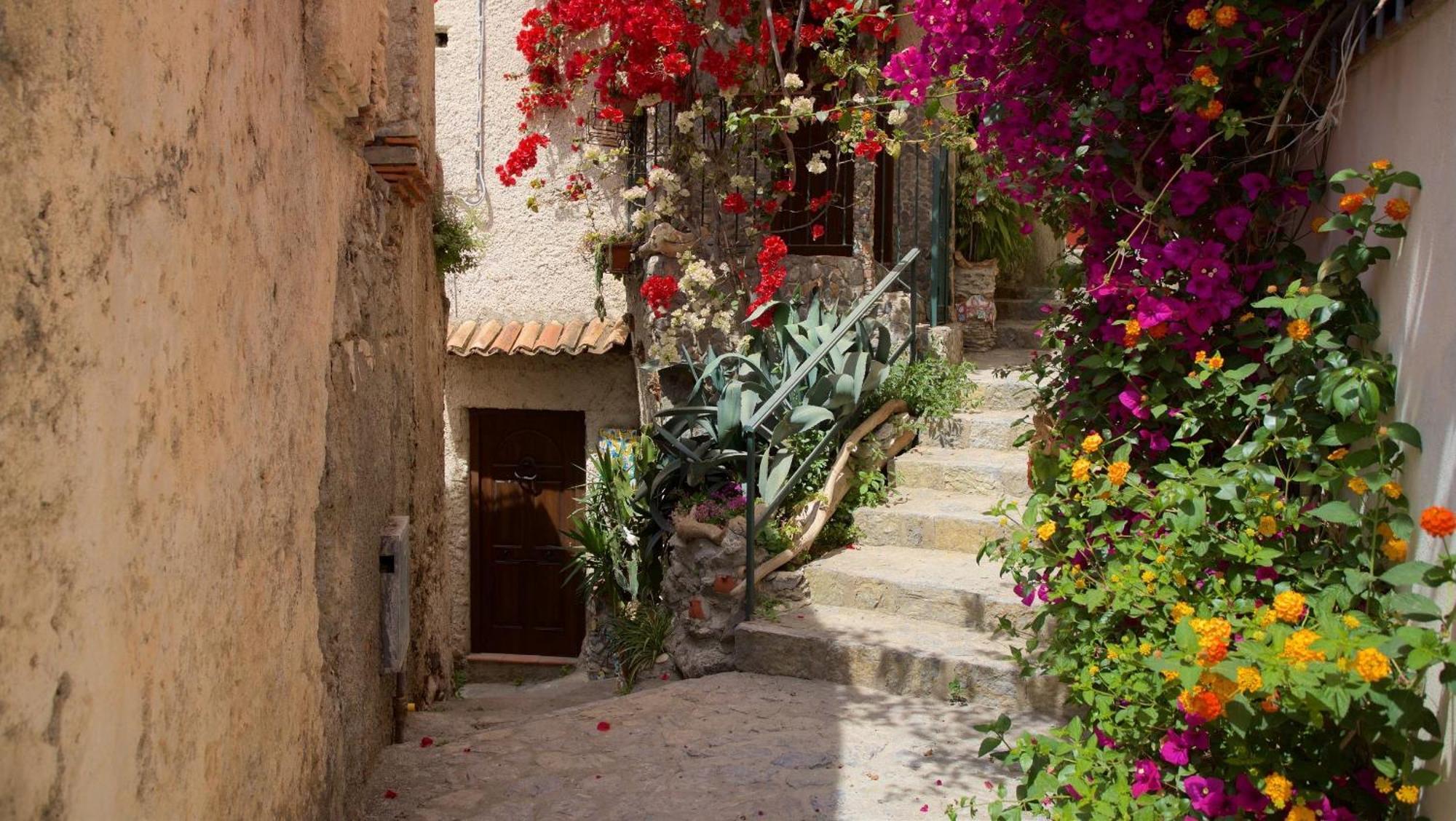 The Lemon Tree House Apartment Scalea Exterior photo