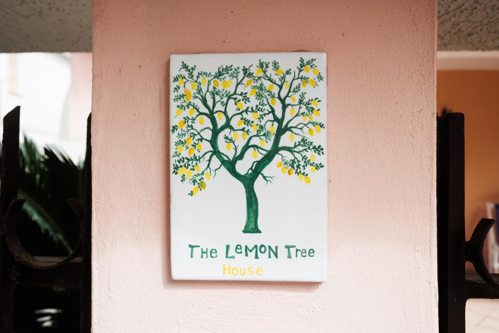 The Lemon Tree House Apartment Scalea Exterior photo