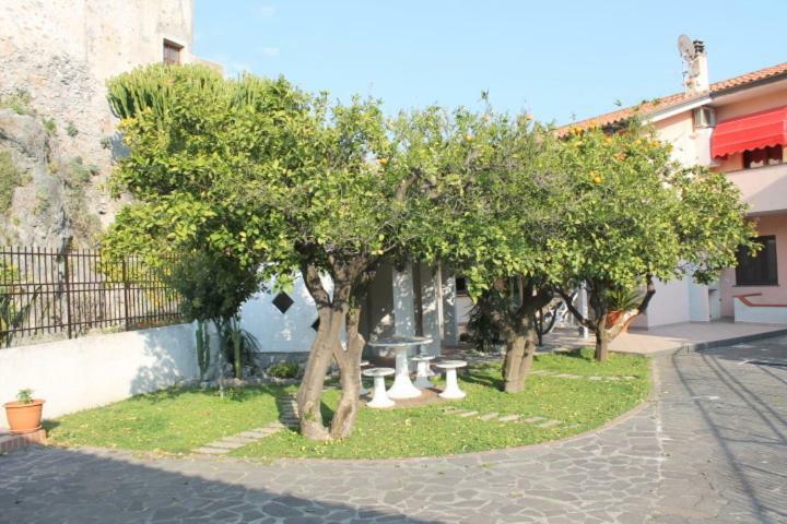 The Lemon Tree House Apartment Scalea Exterior photo